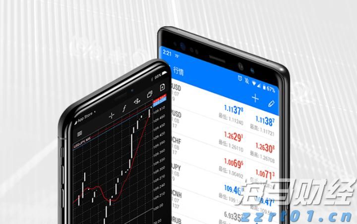 遛狗没牵绳引发冲突,致人右眼受伤!宠物主人获刑