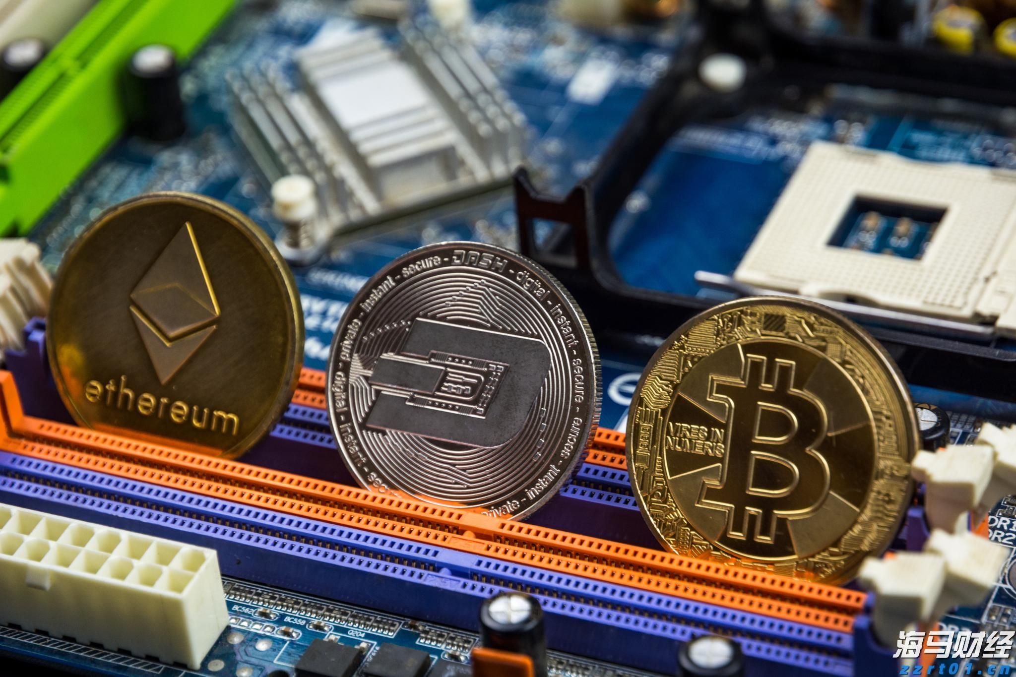 平南县放生23尾国家二级保护动物斑鳠