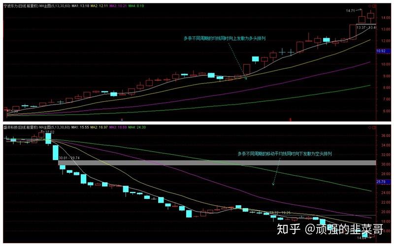硬核又浪漫！七夕版机器狗现身珠海日月贝
